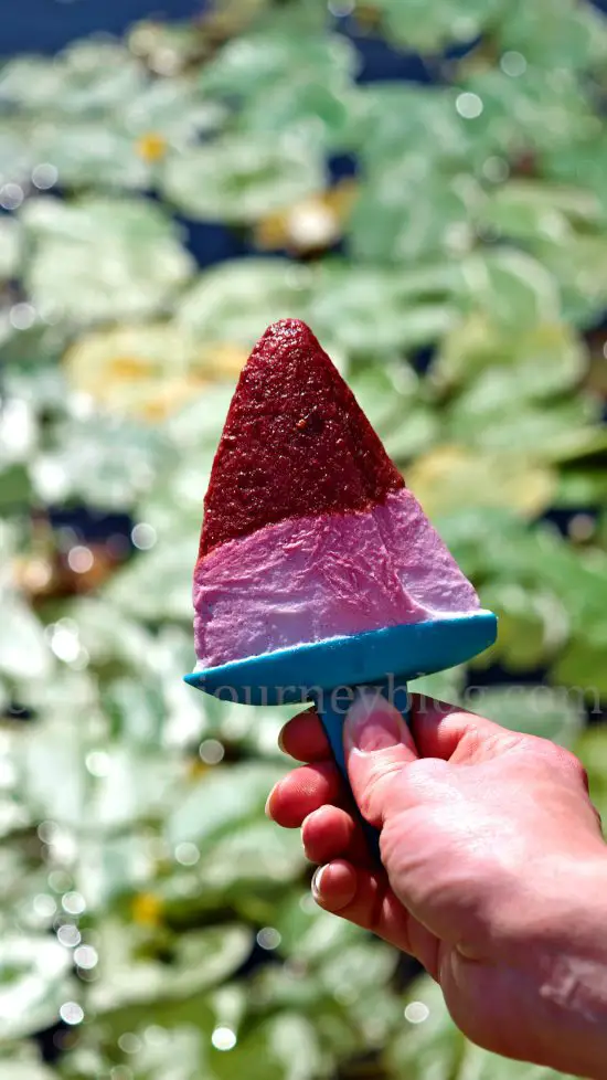Holding homemade sugar free popsicle with two layer of cherries and coconut milk