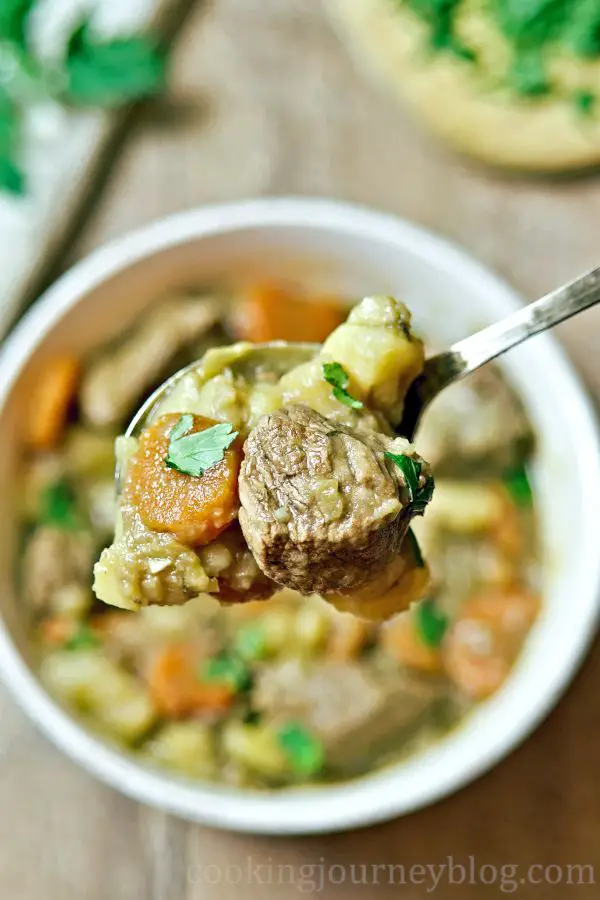 Potato, Carrot, Beef and parsley on the spoon.