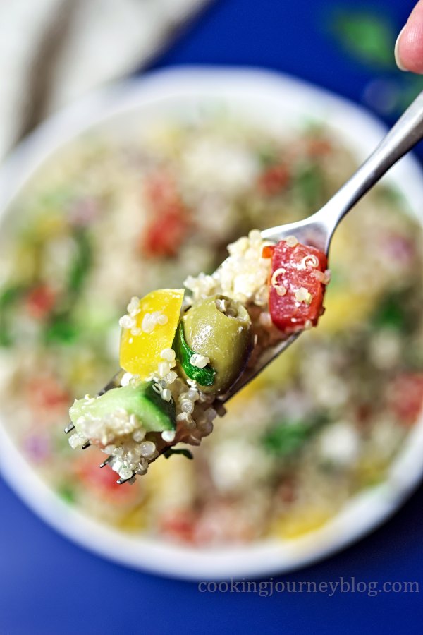 Fork with quinoa salad